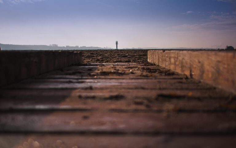 Leading the Way: 5 Key Principles for Strategic Success