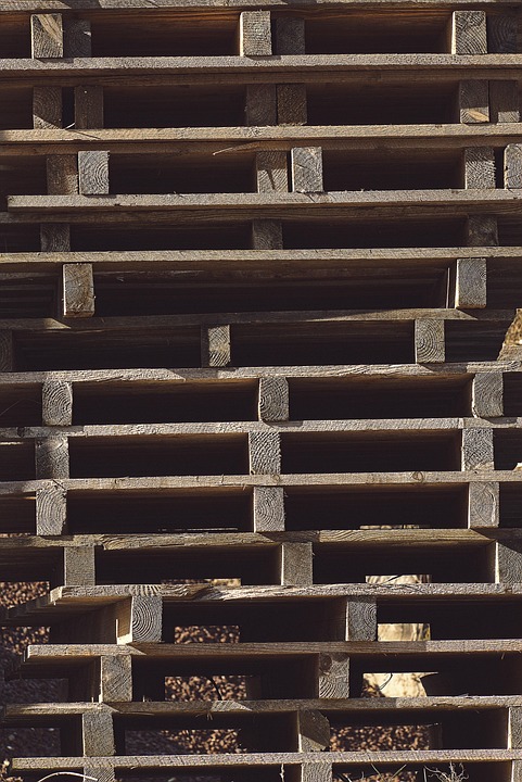 Logistics Boom: Industry Sees Unprecedented Growth as E-commerce Demand Soars