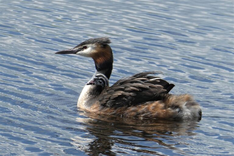 Streamlining the Supply Chain: How Technology is Revolutionizing Logistics