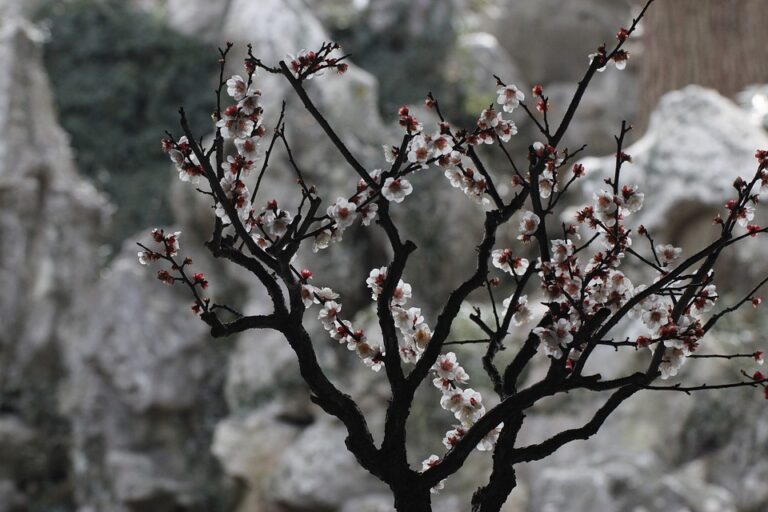 Surging Trade Volumes Fuel Economic Growth