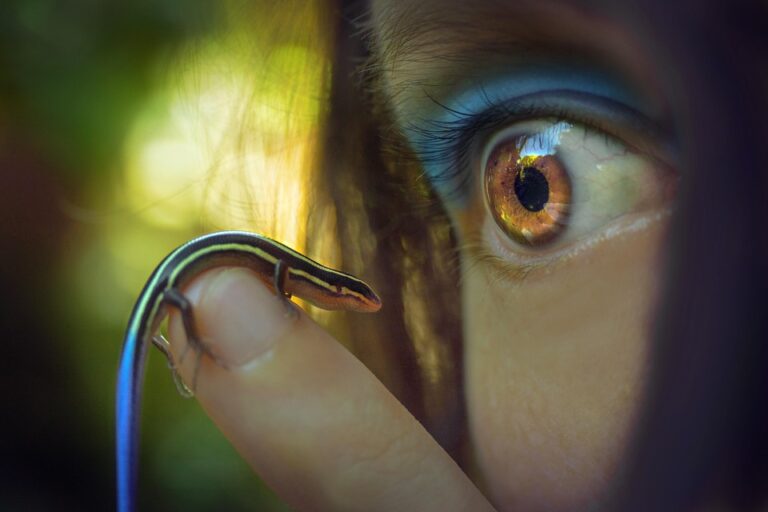 The Evolution of Marketing: How to Stay Ahead of the Curve