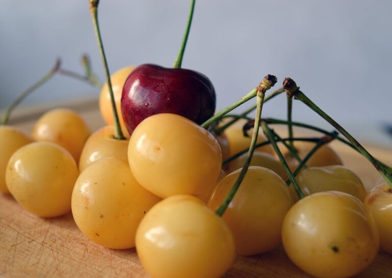 The Leadership Playbook: Strategies for Success in Any Industry