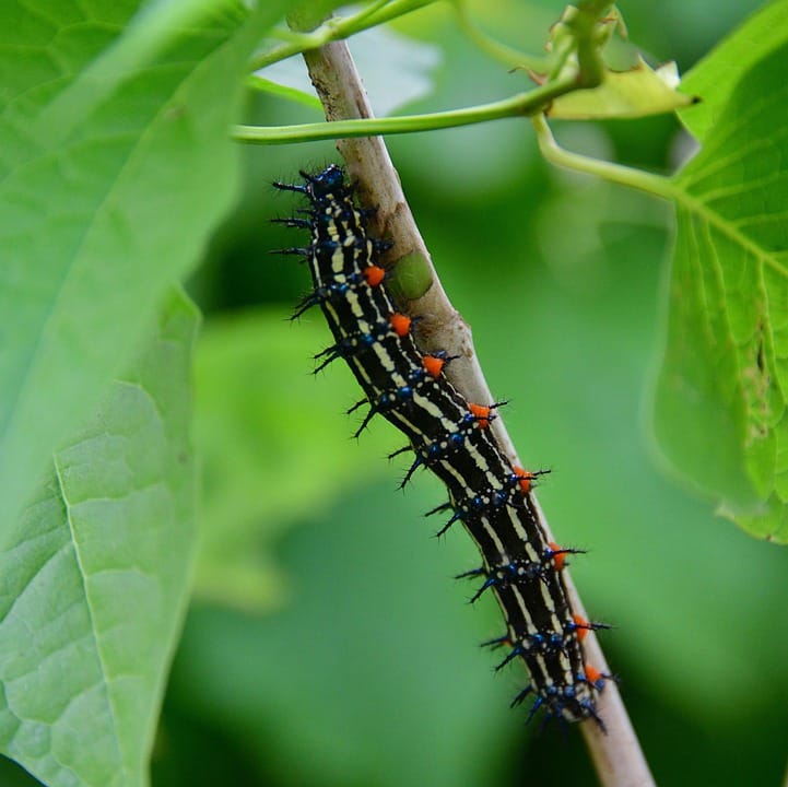 Transform Your Brand: The Top 5 Marketing Tips You Need to Know