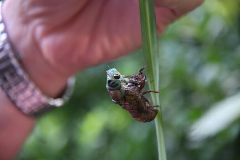 Transform Your Organization: Expert Advice on Leadership Strategy